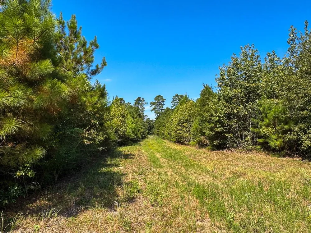 Johnson Road Huntsville, TX 77320