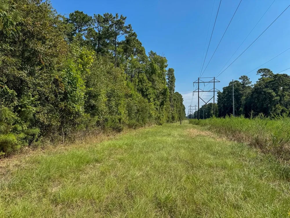 Johnson Road Huntsville, TX 77320