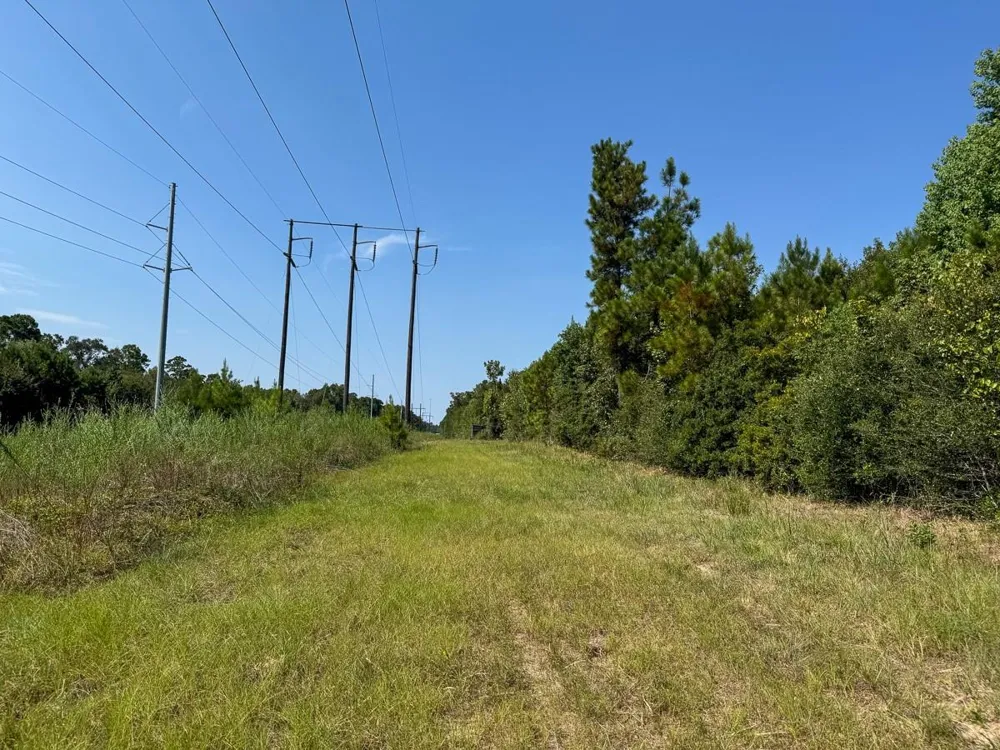 Johnson Road Huntsville, TX 77320