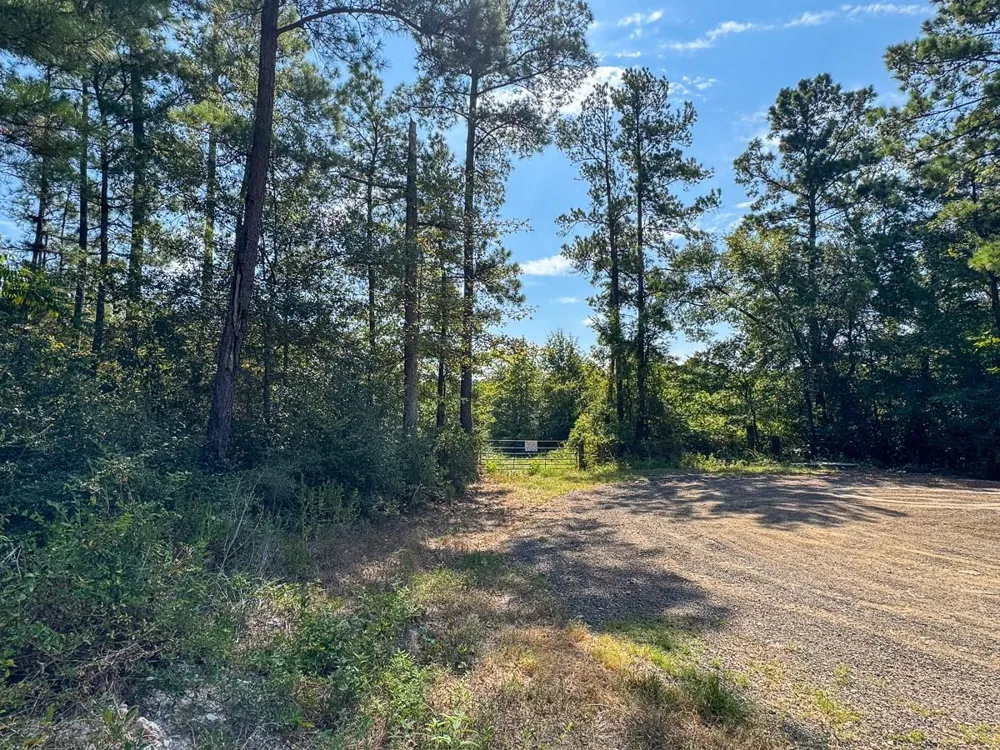 Johnson Road Huntsville, TX 77320