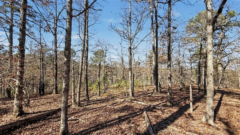 930 Pine Bark Trail Kansas, OK 74347