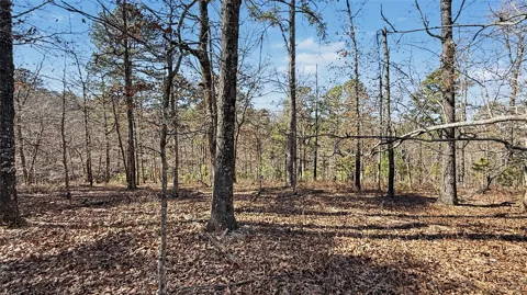 930 Pine Bark Trail