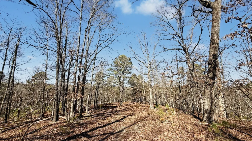 930 Pine Bark Trail Kansas, OK 74347
