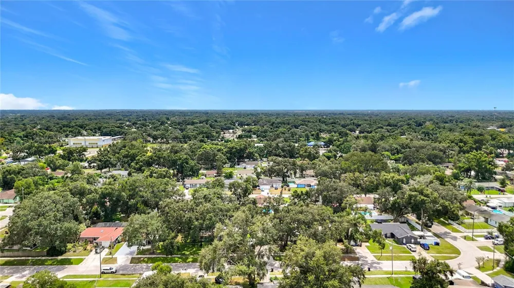 118 EUCLID LOOP Seffner, FL 33584