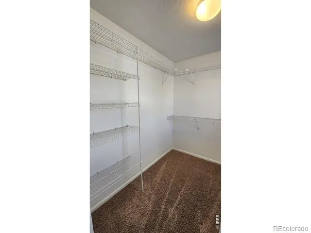 4502 Teller Place Loveland, CO 80538