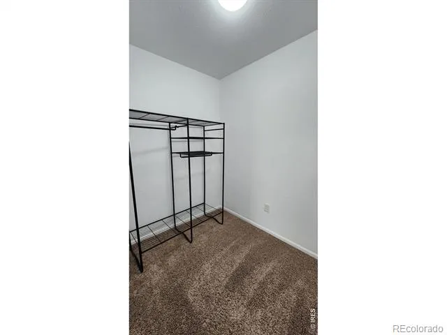 4502 Teller Place Loveland, CO 80538