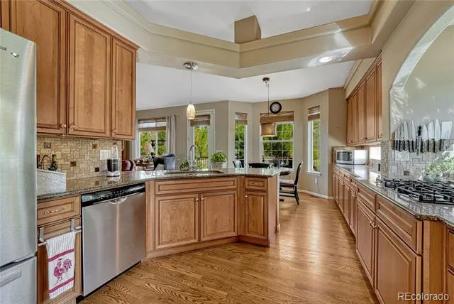 1410 Exquisite Street Castle Rock, CO 80109