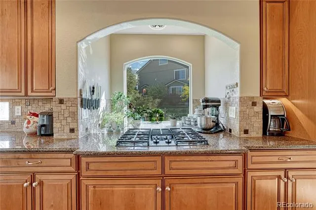 1410 Exquisite Street Castle Rock, CO 80109