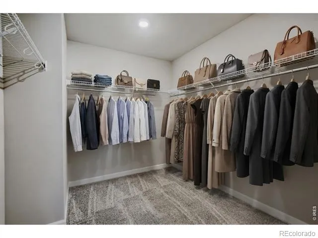 921 Nettle Lane Fort Collins, CO 80524