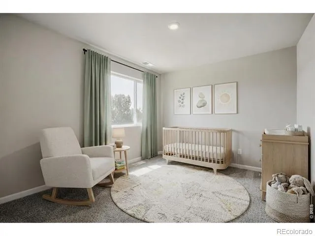 921 Nettle Lane Fort Collins, CO 80524