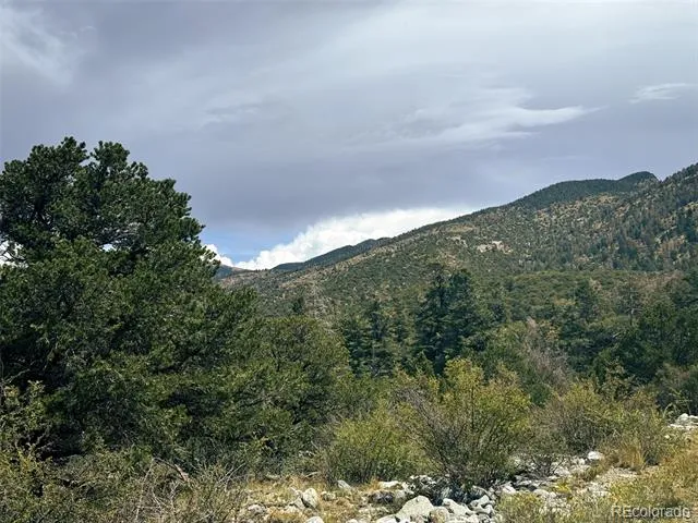 421 Lake Of The Falls Parkway Mosca, CO 81146