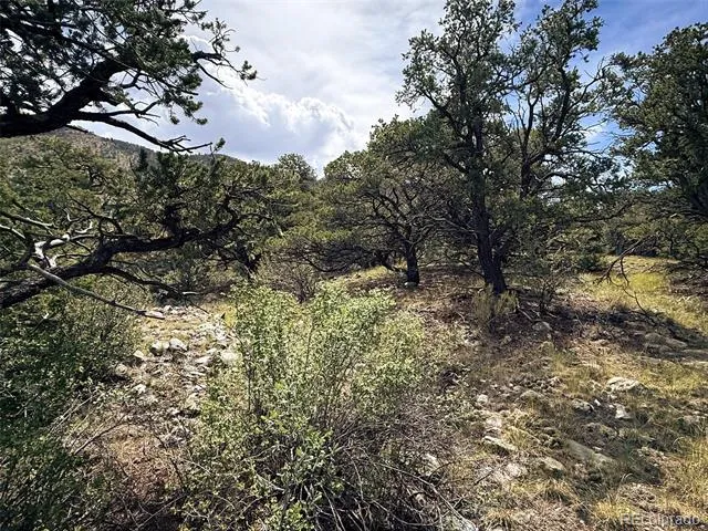 421 Lake Of The Falls Parkway Mosca, CO 81146