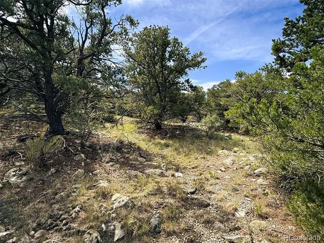 421 Lake Of The Falls Parkway Mosca, CO 81146