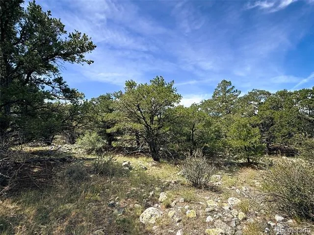 421 Lake Of The Falls Parkway Mosca, CO 81146