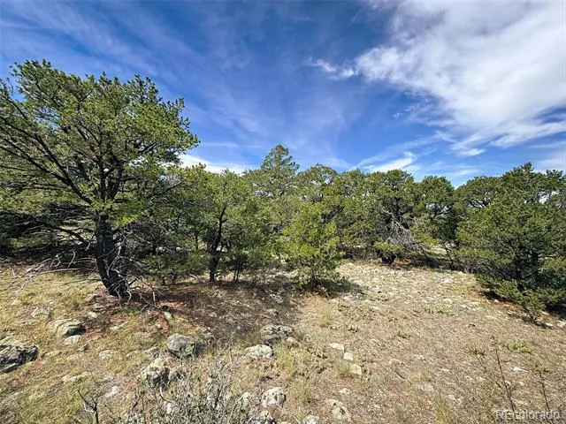 421 Lake Of The Falls Parkway Mosca, CO 81146