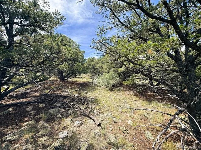 421 Lake Of The Falls Parkway Mosca, CO 81146