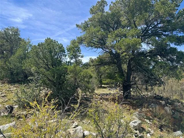 421 Lake Of The Falls Parkway Mosca, CO 81146