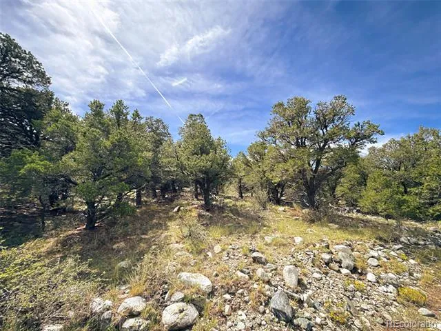 421 Lake Of The Falls Parkway Mosca, CO 81146