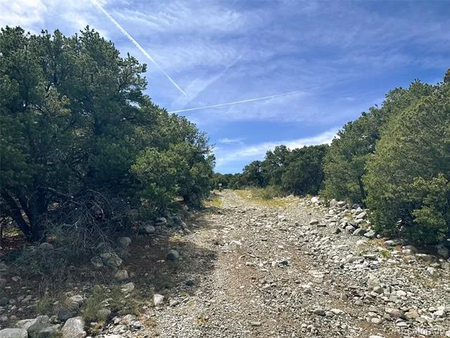 421 Lake Of The Falls Parkway Mosca, CO 81146