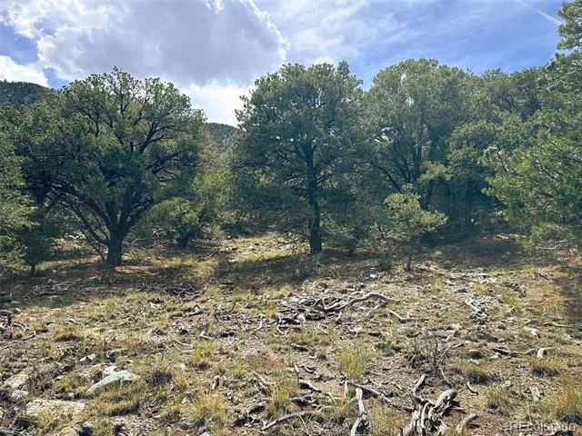 421 Lake Of The Falls Parkway Mosca, CO 81146
