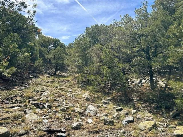 421 Lake Of The Falls Parkway Mosca, CO 81146