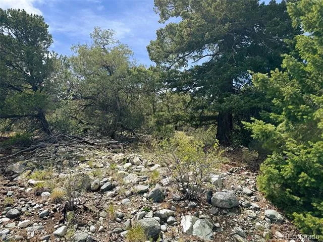 421 Lake Of The Falls Parkway Mosca, CO 81146