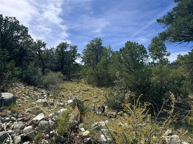 421 Lake Of The Falls Parkway Mosca, CO 81146