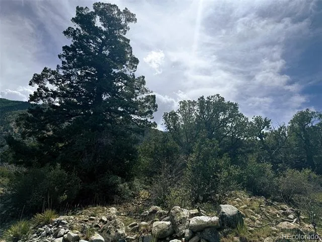 421 Lake Of The Falls Parkway Mosca, CO 81146