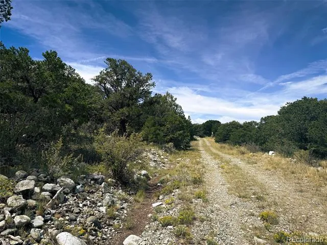 421 Lake Of The Falls Parkway Mosca, CO 81146