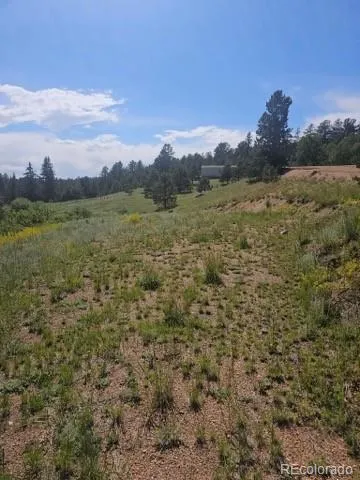 1164 Arapahoe Creek Trail Florissant, CO 80816
