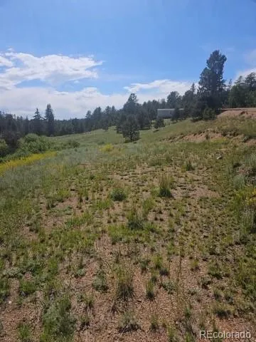 1164 Arapahoe Creek Trail Florissant, CO 80816
