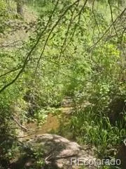 1164 Arapahoe Creek Trail Florissant, CO 80816