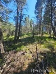 1164 Arapahoe Creek Trail Florissant, CO 80816