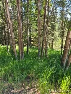 1164 Arapahoe Creek Trail Florissant, CO 80816