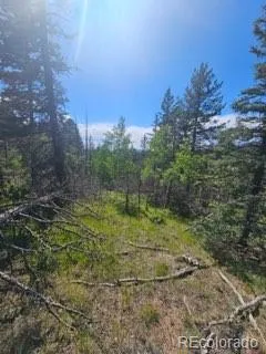 1164 Arapahoe Creek Trail Florissant, CO 80816