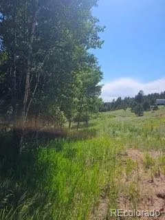 1164 Arapahoe Creek Trail Florissant, CO 80816