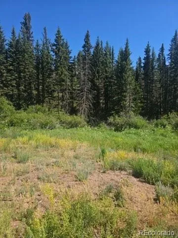 1164 Arapahoe Creek Trail Florissant, CO 80816