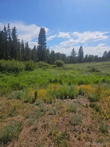 1164 Arapahoe Creek Trail Florissant, CO 80816