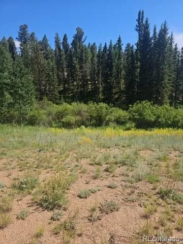 1164 Arapahoe Creek Trail Florissant, CO 80816