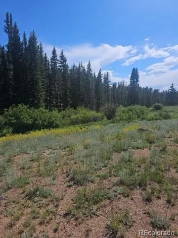 1164 Arapahoe Creek Trail Florissant, CO 80816