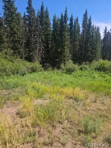 1164 Arapahoe Creek Trail Florissant, CO 80816