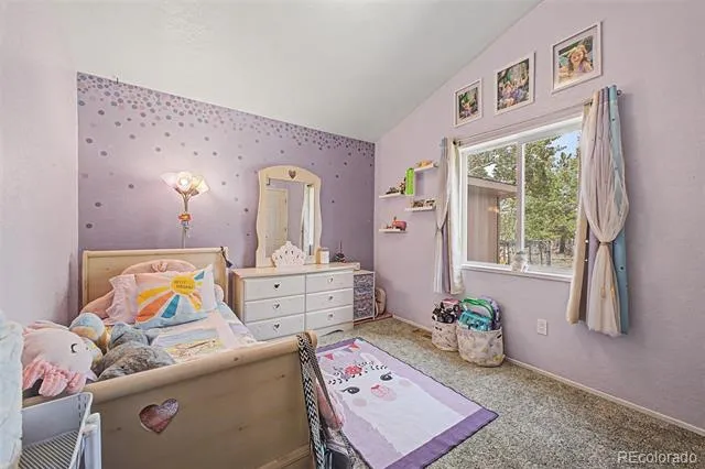 972 Wampum Lane Como, CO 80432