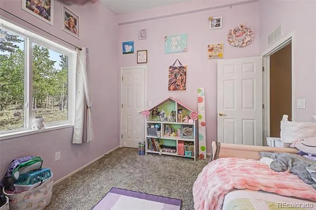 972 Wampum Lane Como, CO 80432