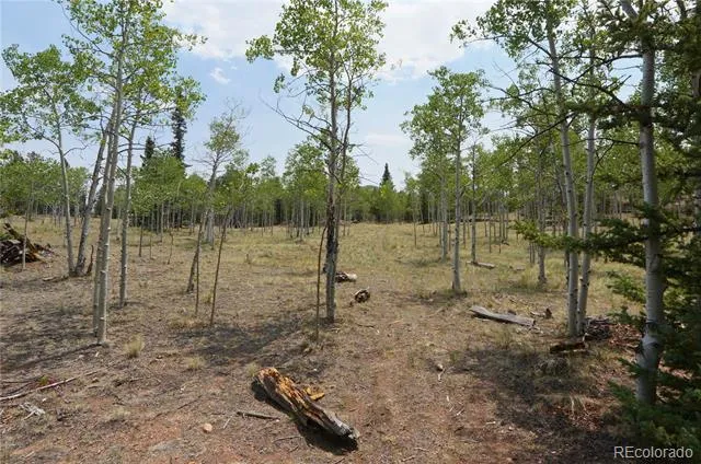 972 Wampum Lane Como, CO 80432