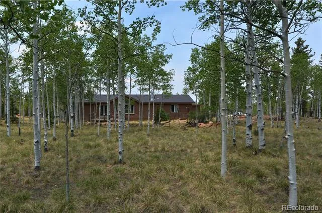 972 Wampum Lane Como, CO 80432