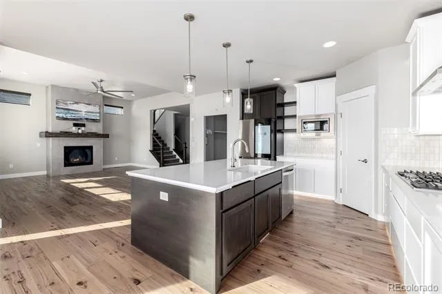 23814 E 36th Place Aurora, CO 80019