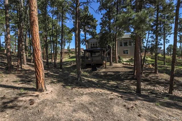16021 Fox Mesa Court Monument, CO 80132