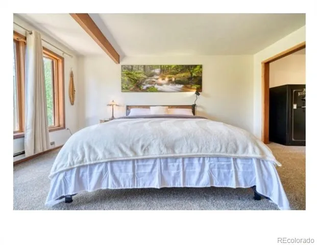 1447 Coyote Circle Black Hawk, CO 80422