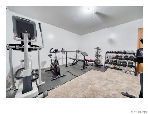 1447 Coyote Circle Black Hawk, CO 80422
