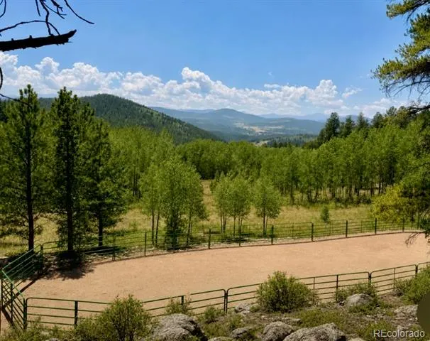 1447 Coyote Circle Black Hawk, CO 80422